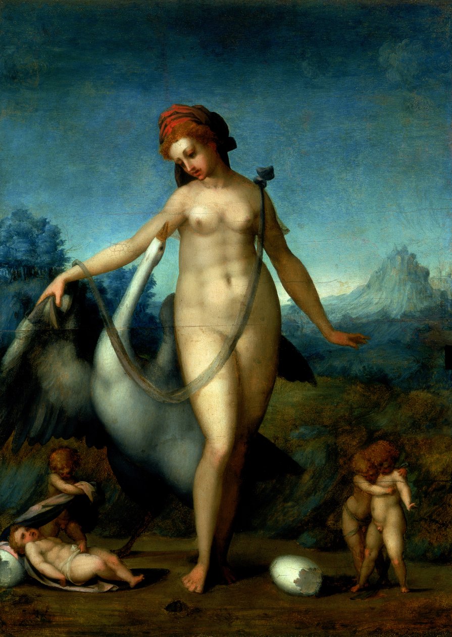 Leda a labuť, kolem 1512-13 (panel) od Jacopo Pontormo