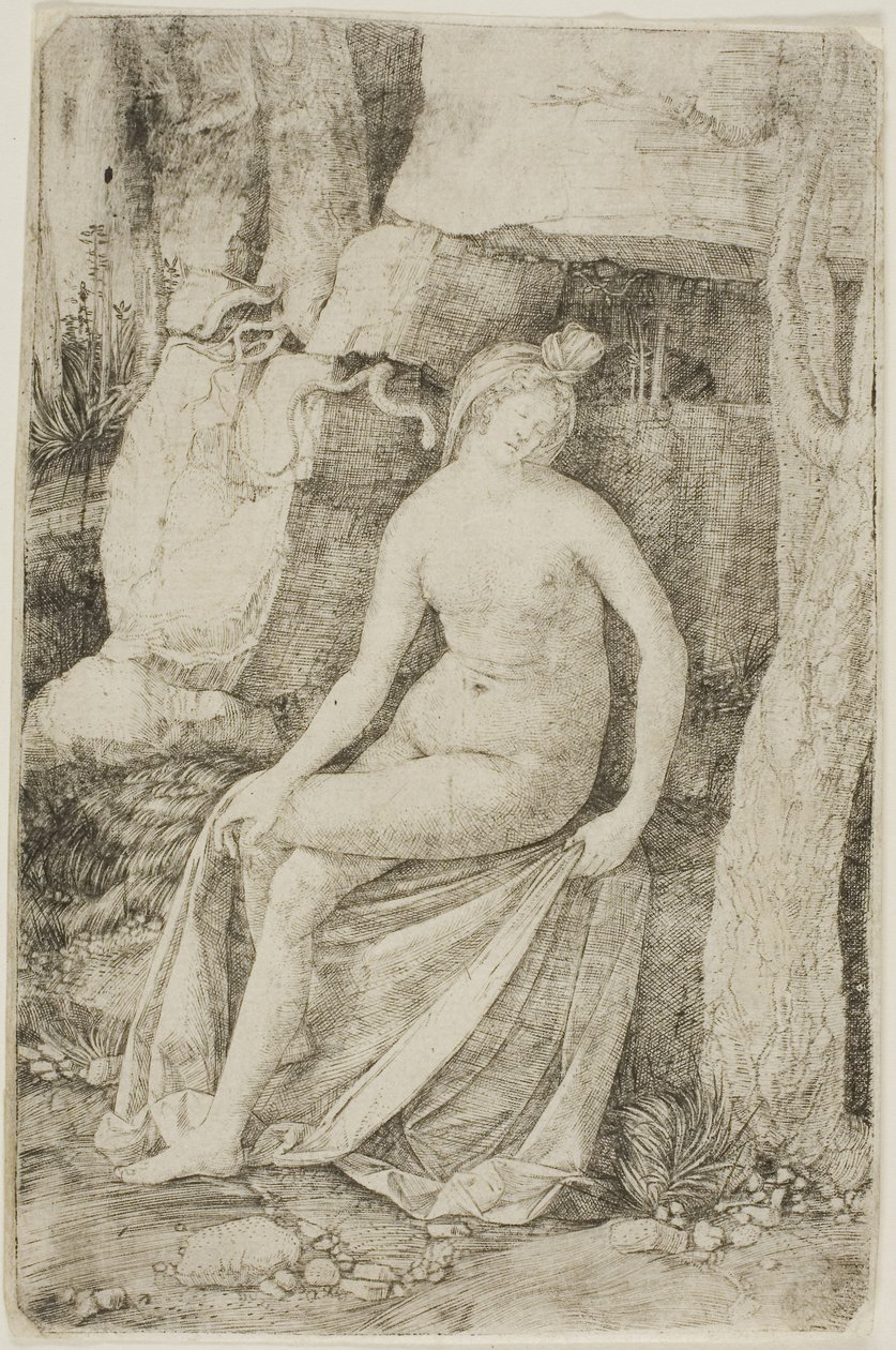 Kleopatra od Jacopo de