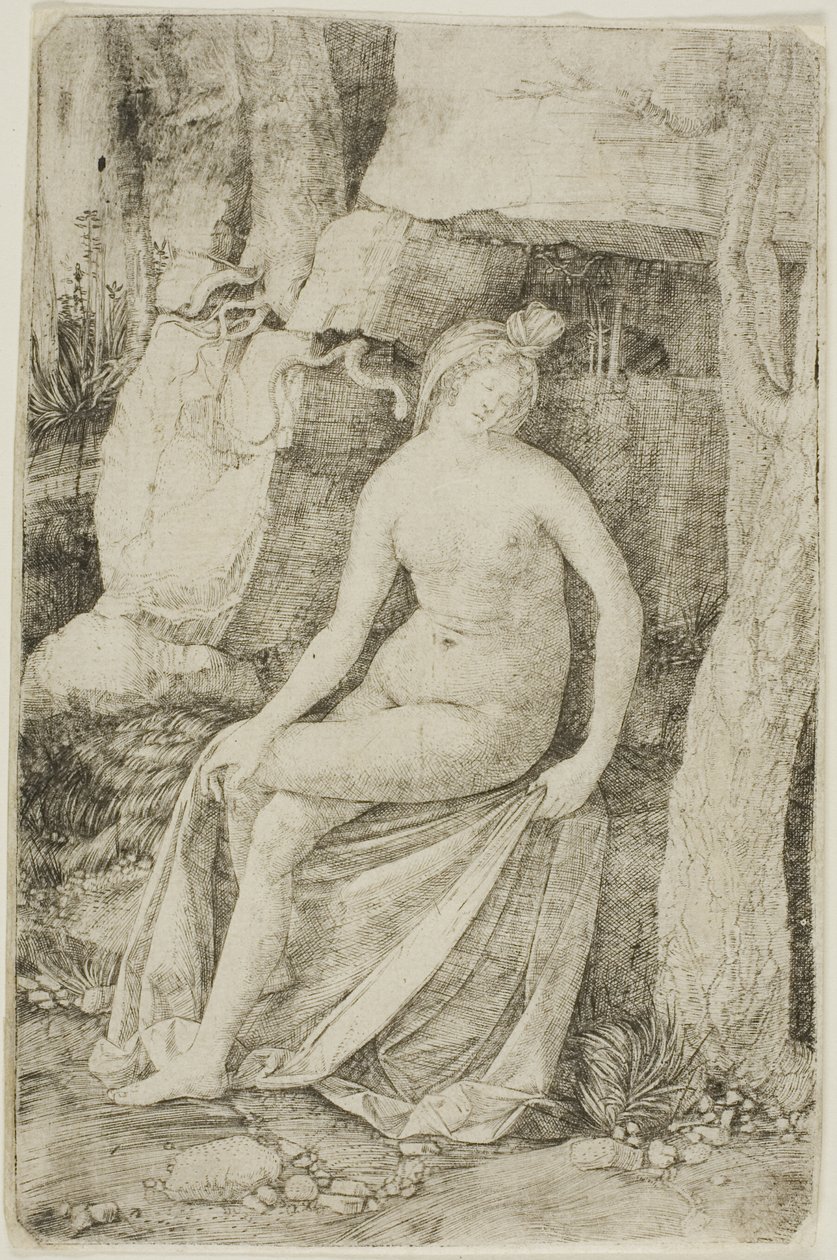 Kleopatra od Jacopo de