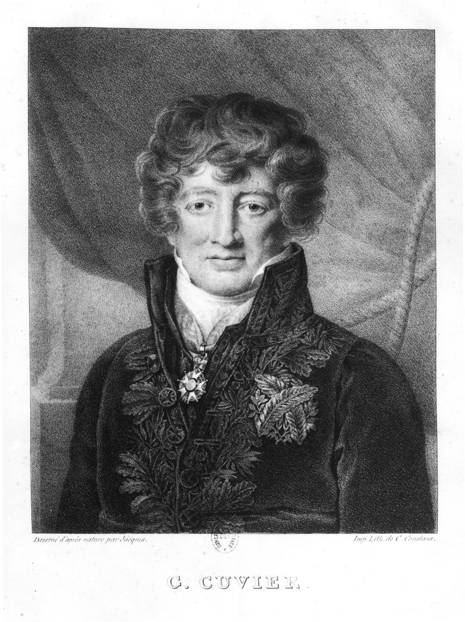 Portrét Georgese Cuviera (1769-1832) od Jacques