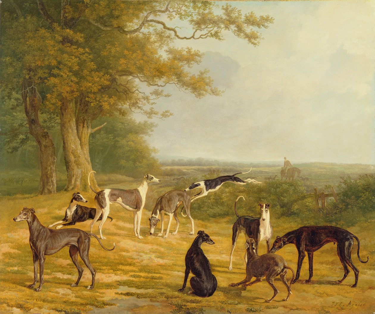 Devět chrtů v krajině od Jacques Laurent Agasse