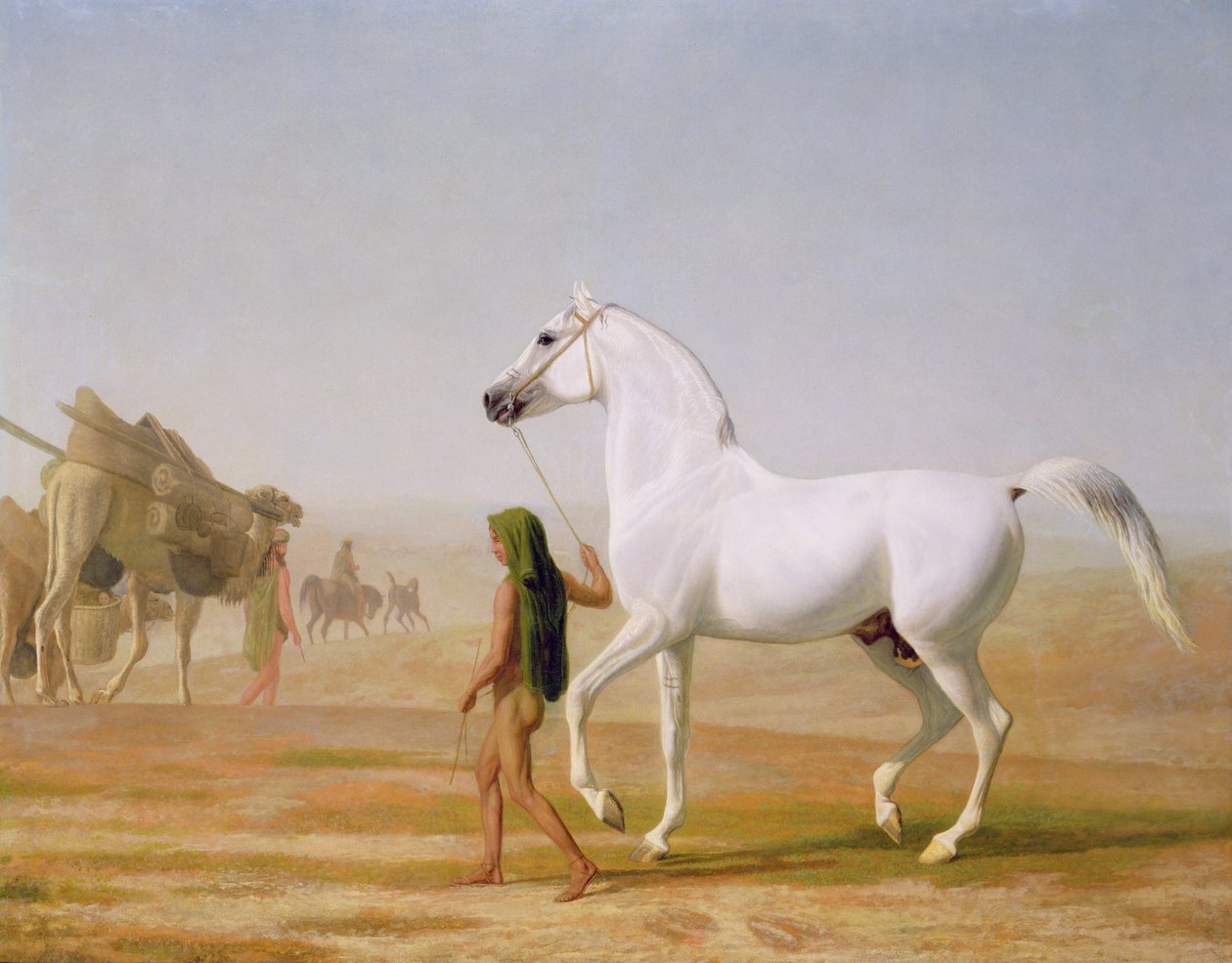 Wellesleyho šedý Arab vedený pouští, cca 1810 od Jacques Laurent Agasse