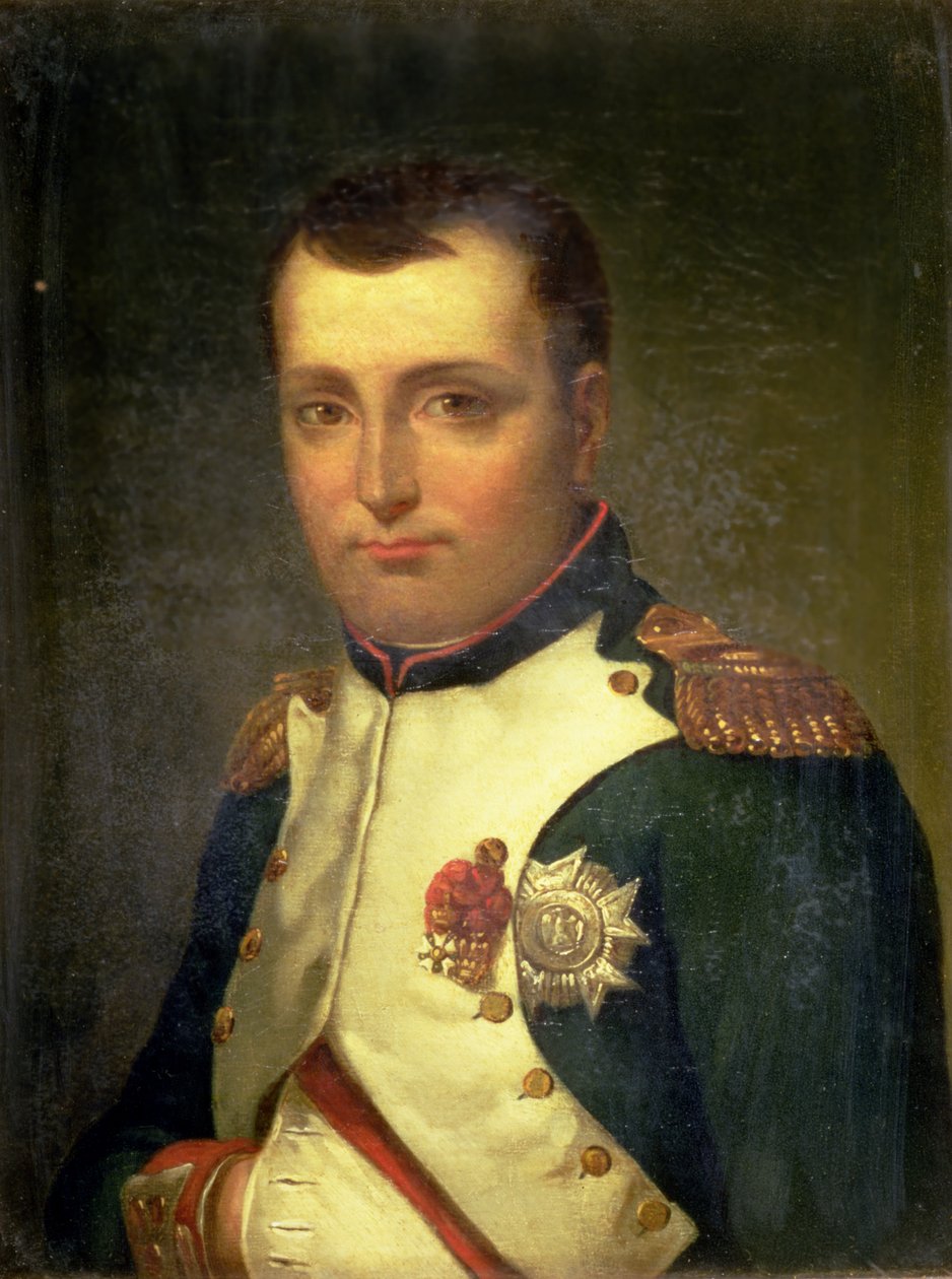 Napoleon Bonaparte (1769-1821) od Jacques Louis David