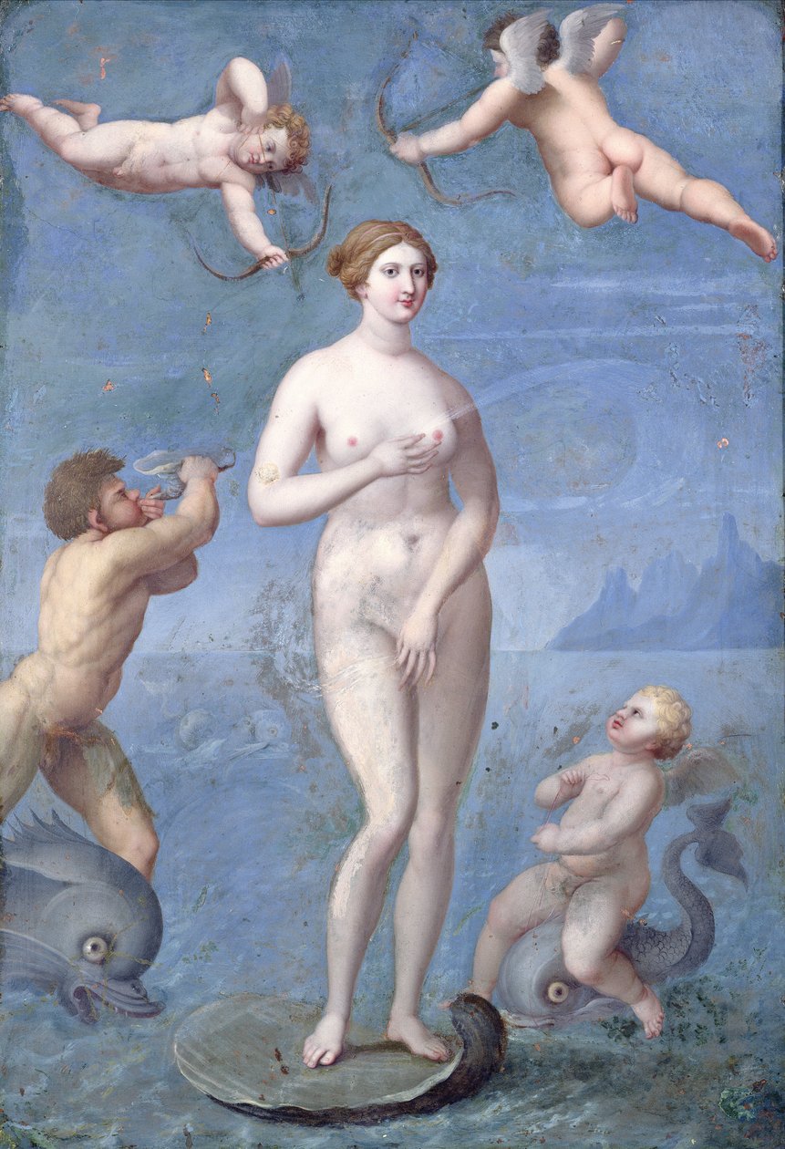 Venuše, 1640 (olej a tempera na mědi) od Jacques Stella