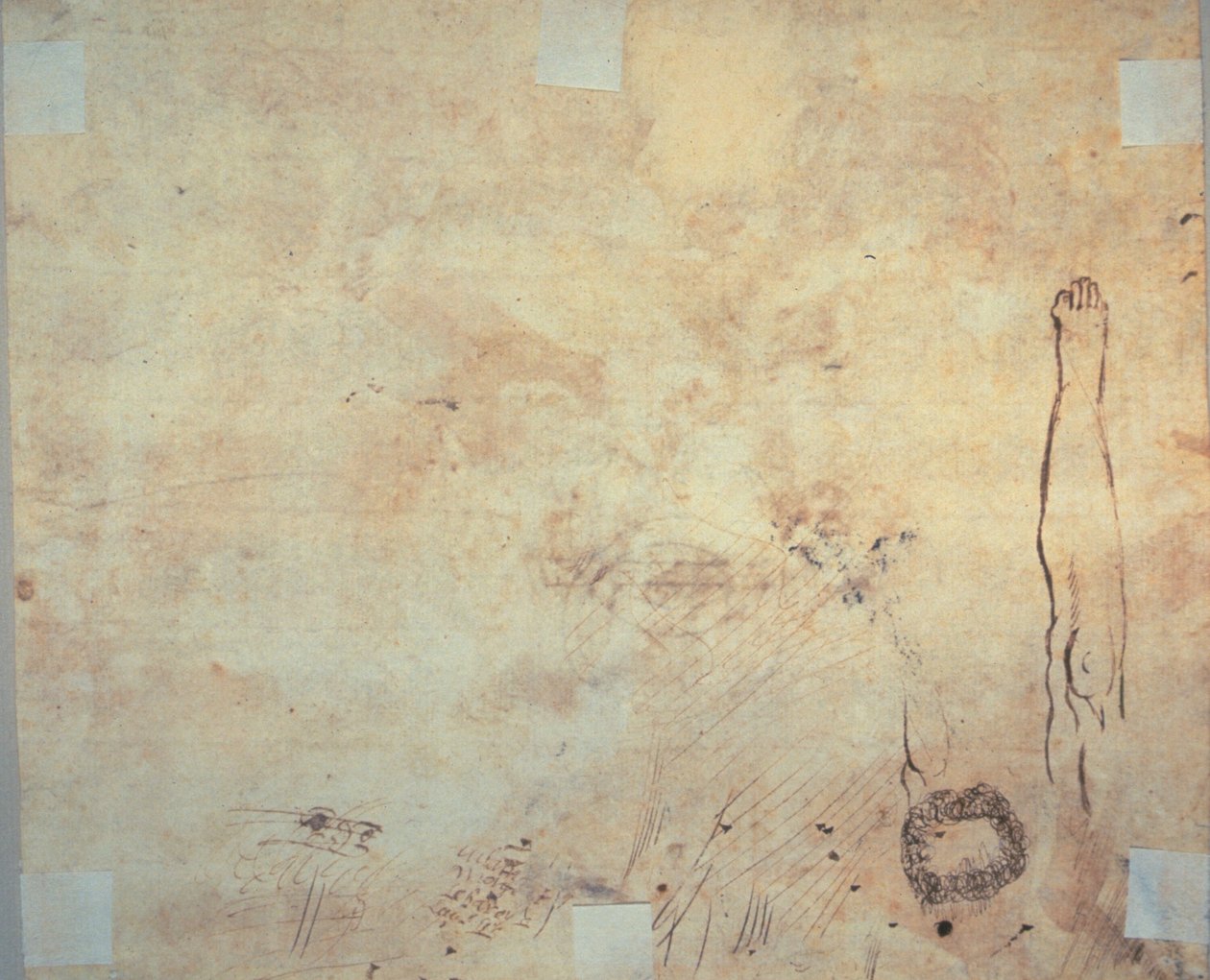 Studie nohy, rozkvětu a čmáranic od Jacques Bellange