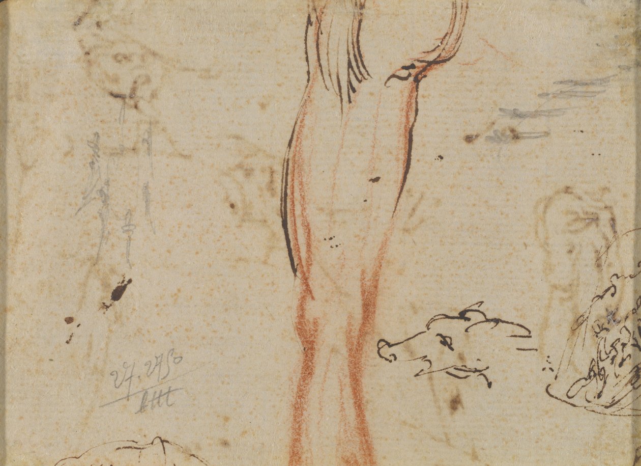 Noha a prasečí hlava od Jacques Callot