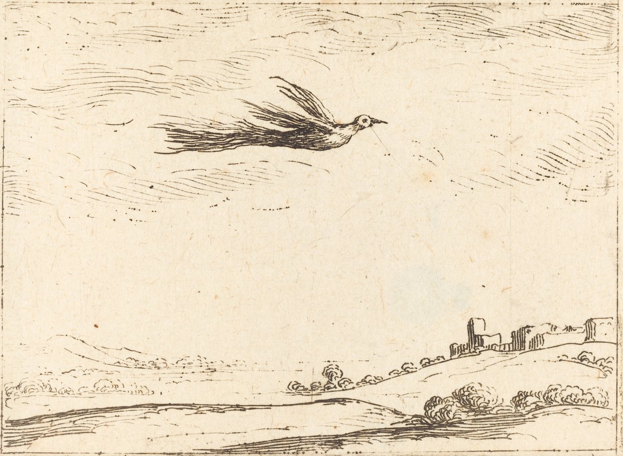 Bird of Paradise od Jacques Callot