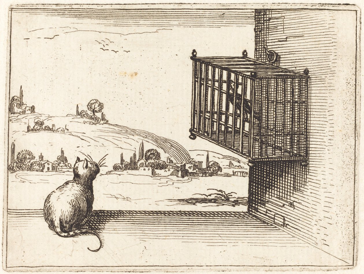 Kočka sleduje ptáka v kleci od Jacques Callot