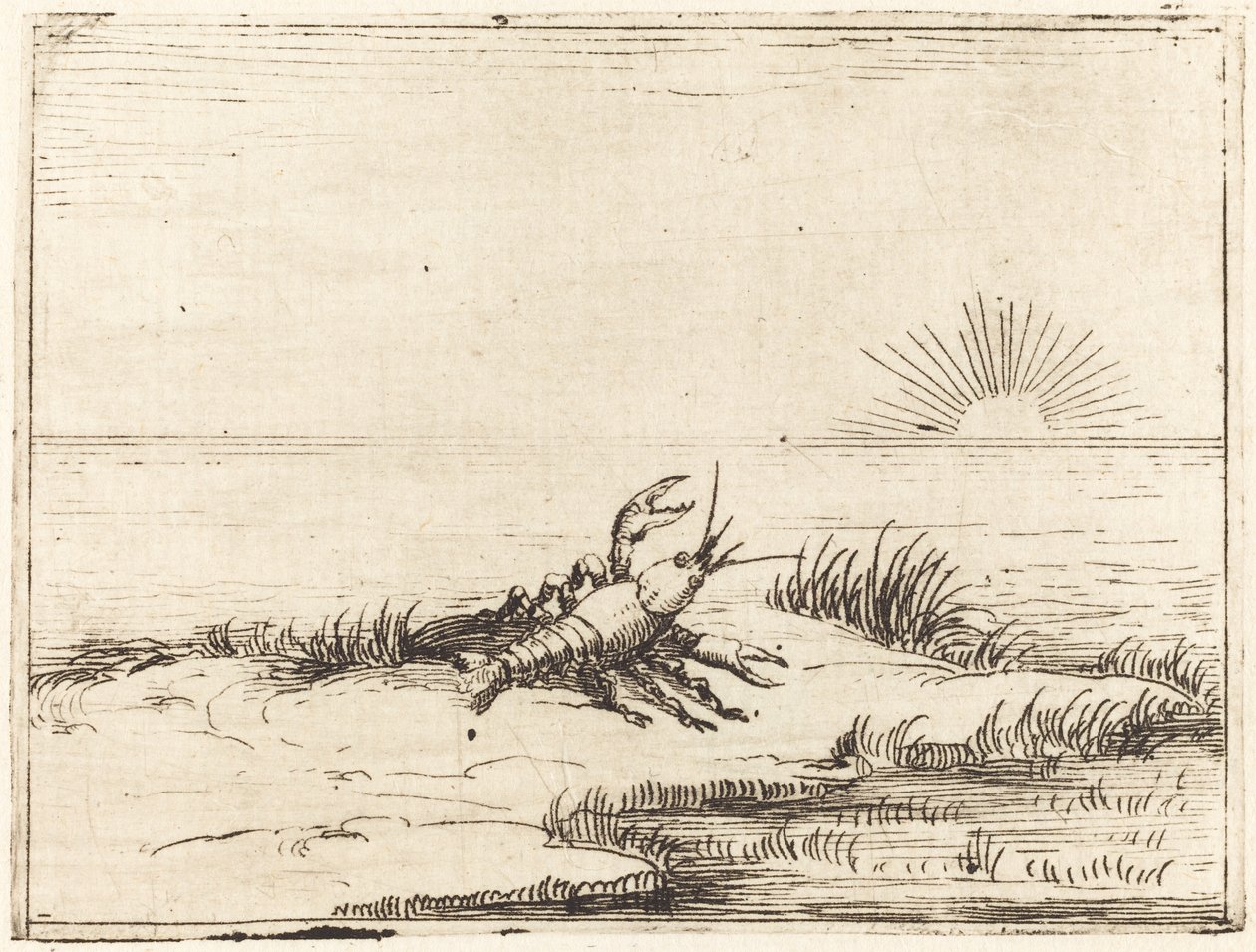 Raci při pohledu na slunce od Jacques Callot