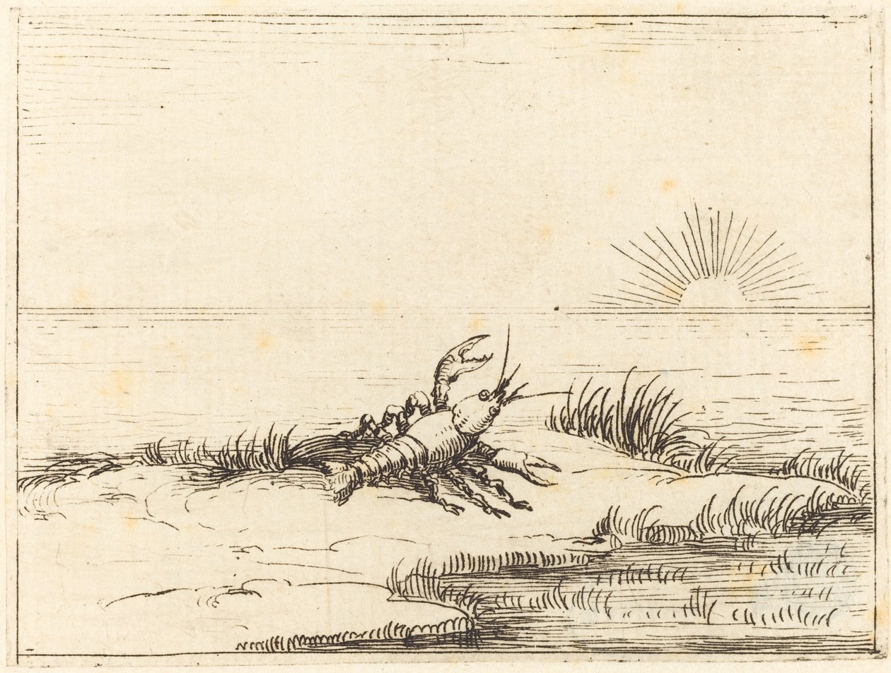 Raci při pohledu na slunce od Jacques Callot