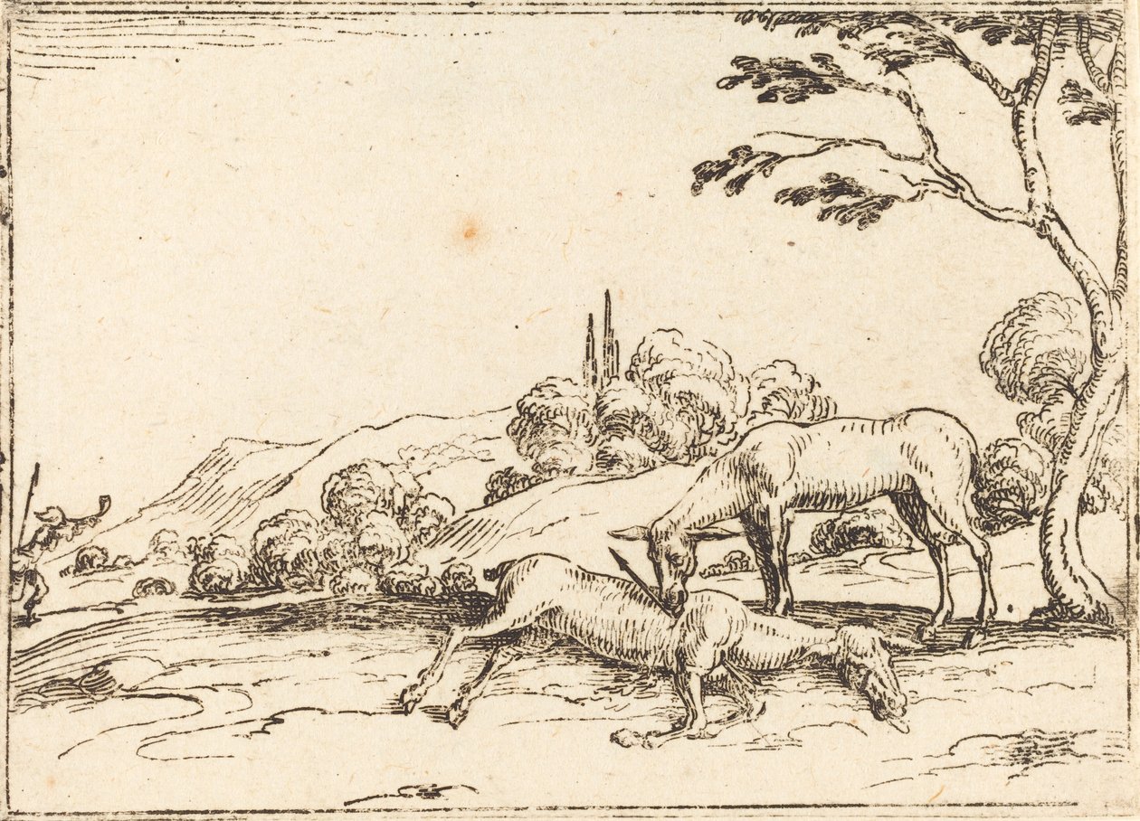 Srna truchlí nad svým hříbětem. od Jacques Callot
