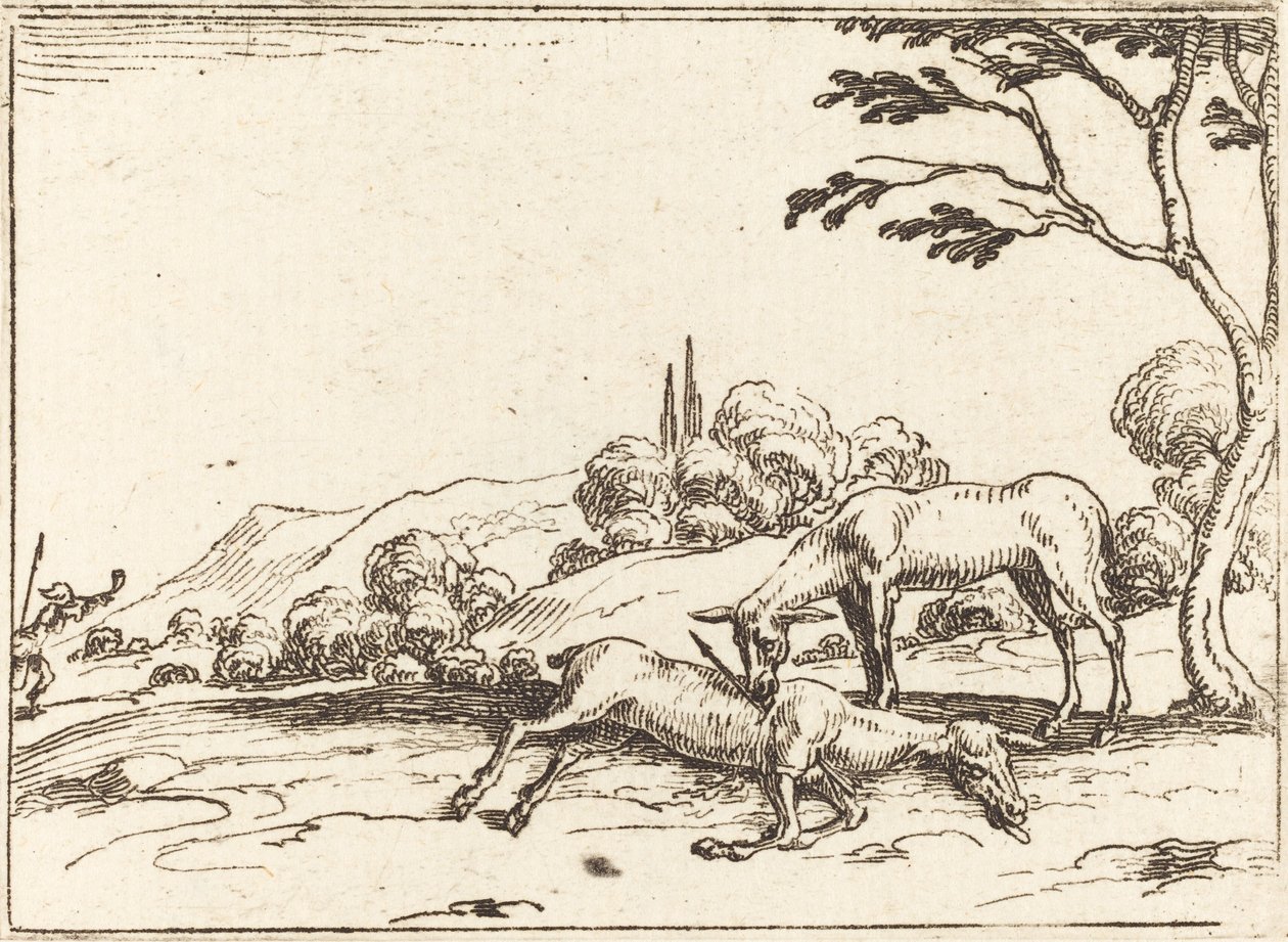 Srna truchlí nad svým hříbětem od Jacques Callot