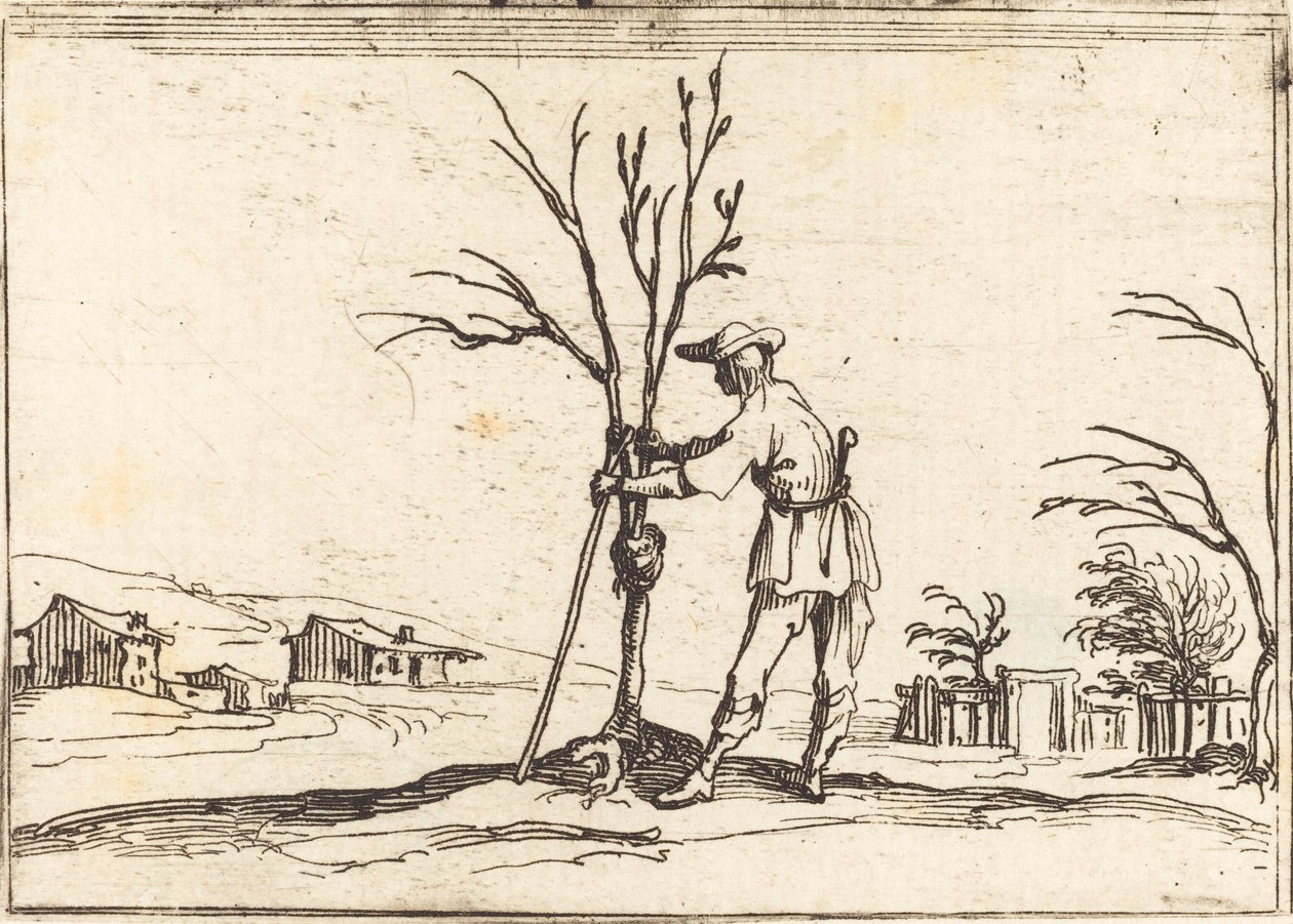 Zahradník prořezává strom od Jacques Callot