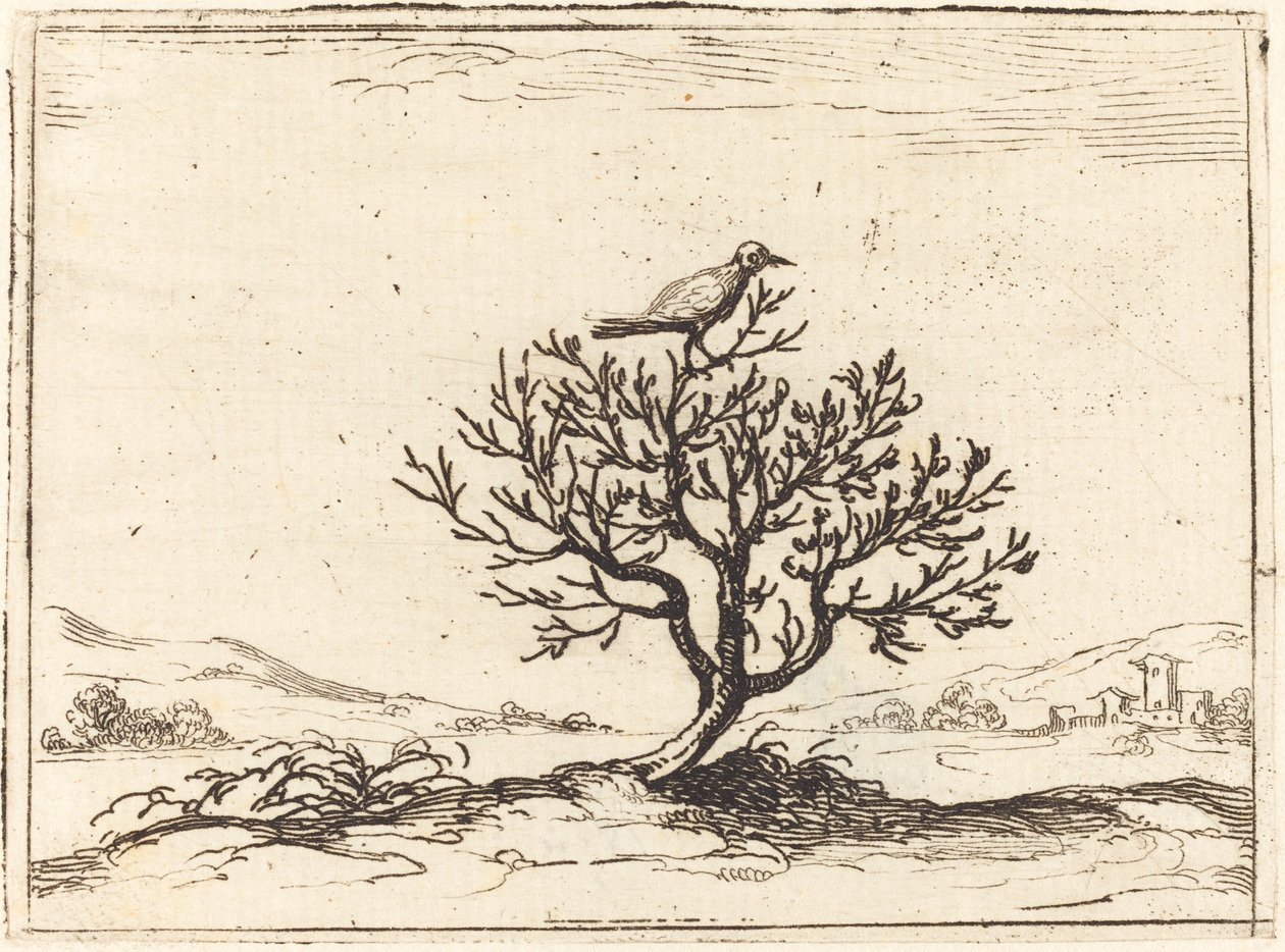 Slavík v keři, 1628. od Jacques Callot
