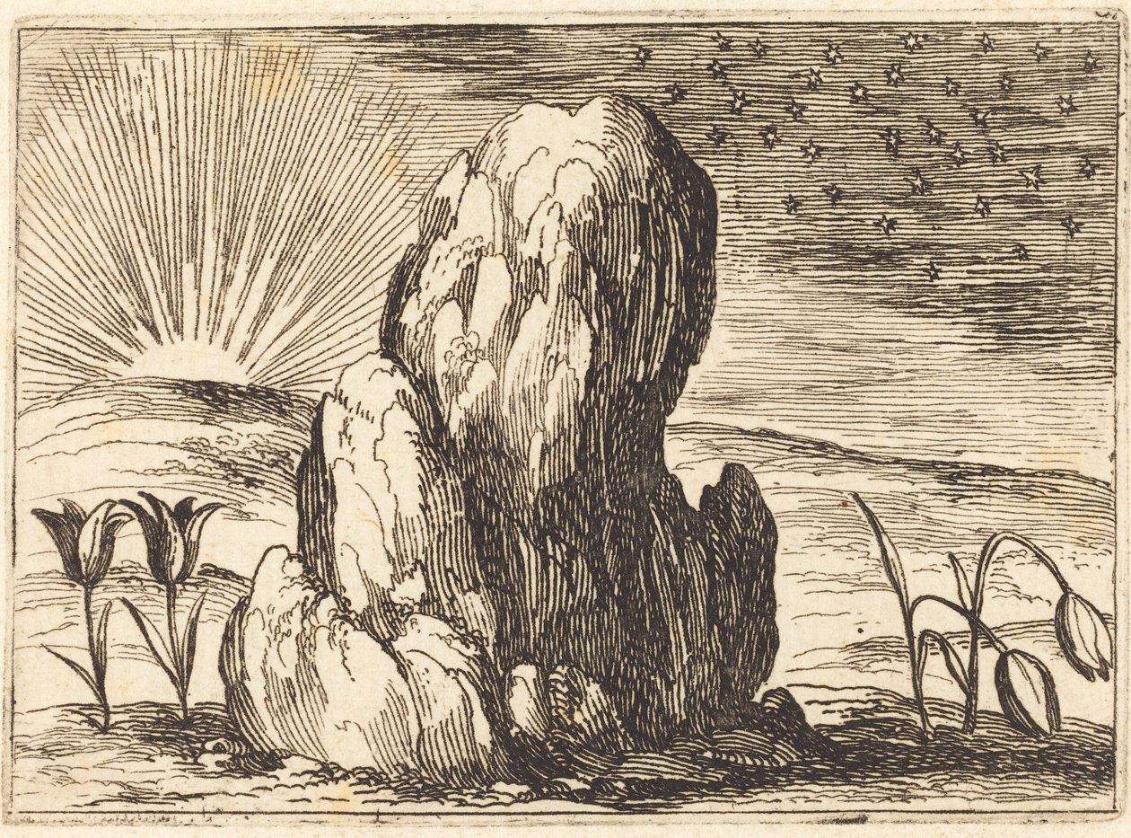 Tulipány a slunce od Jacques Callot