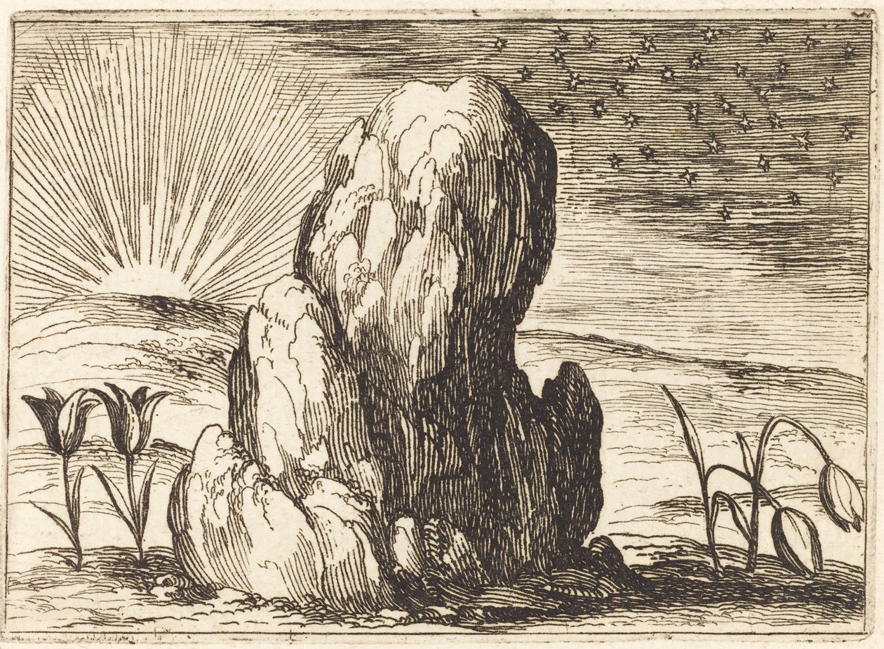 Tulipány a slunce, 1628. od Jacques Callot
