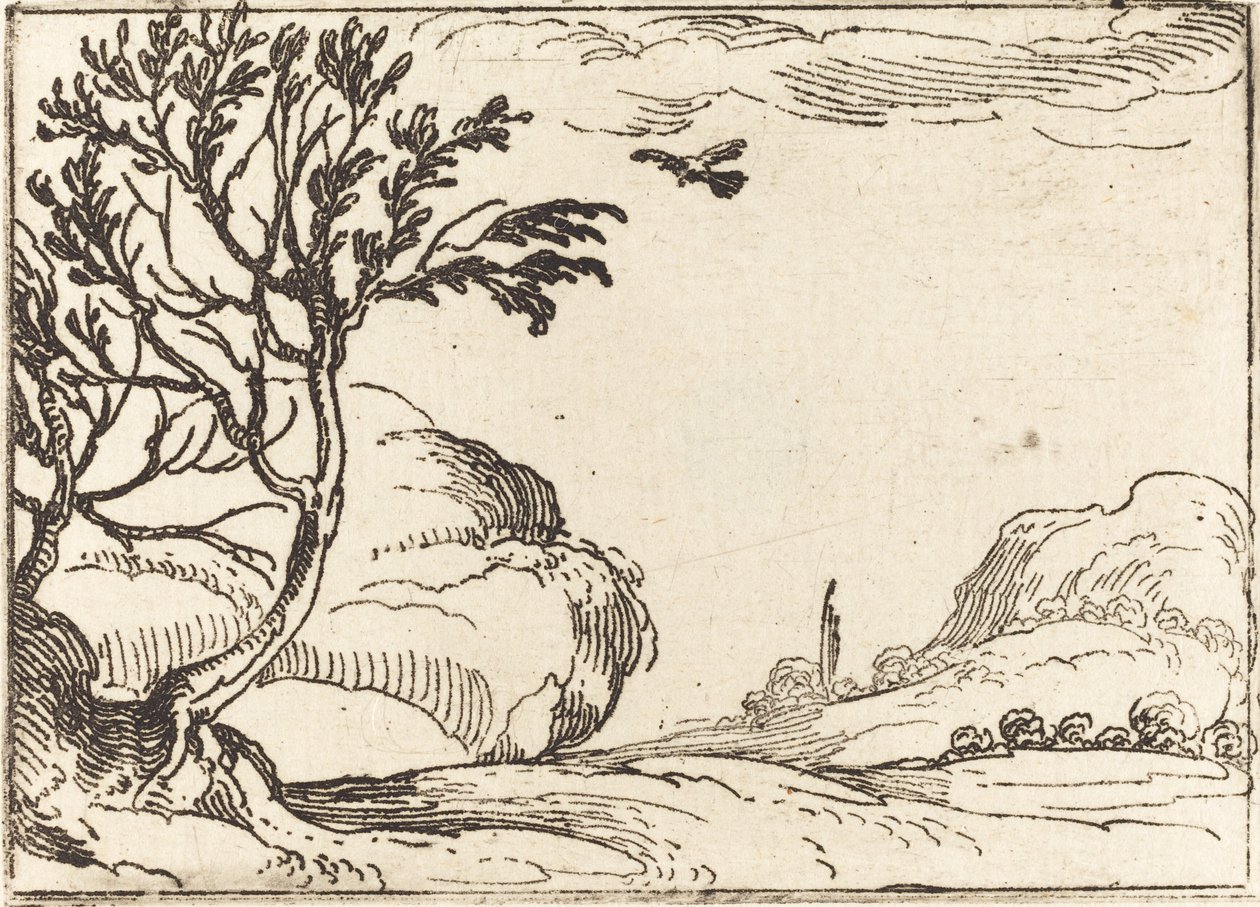 Turtle Dove Létání v poušti. od Jacques Callot