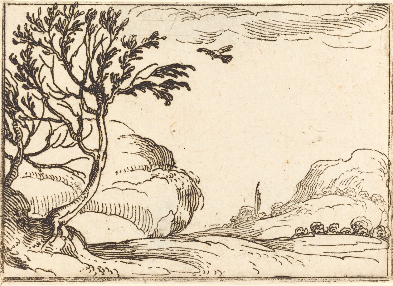 Turtle Dove Létání v poušti od Jacques Callot