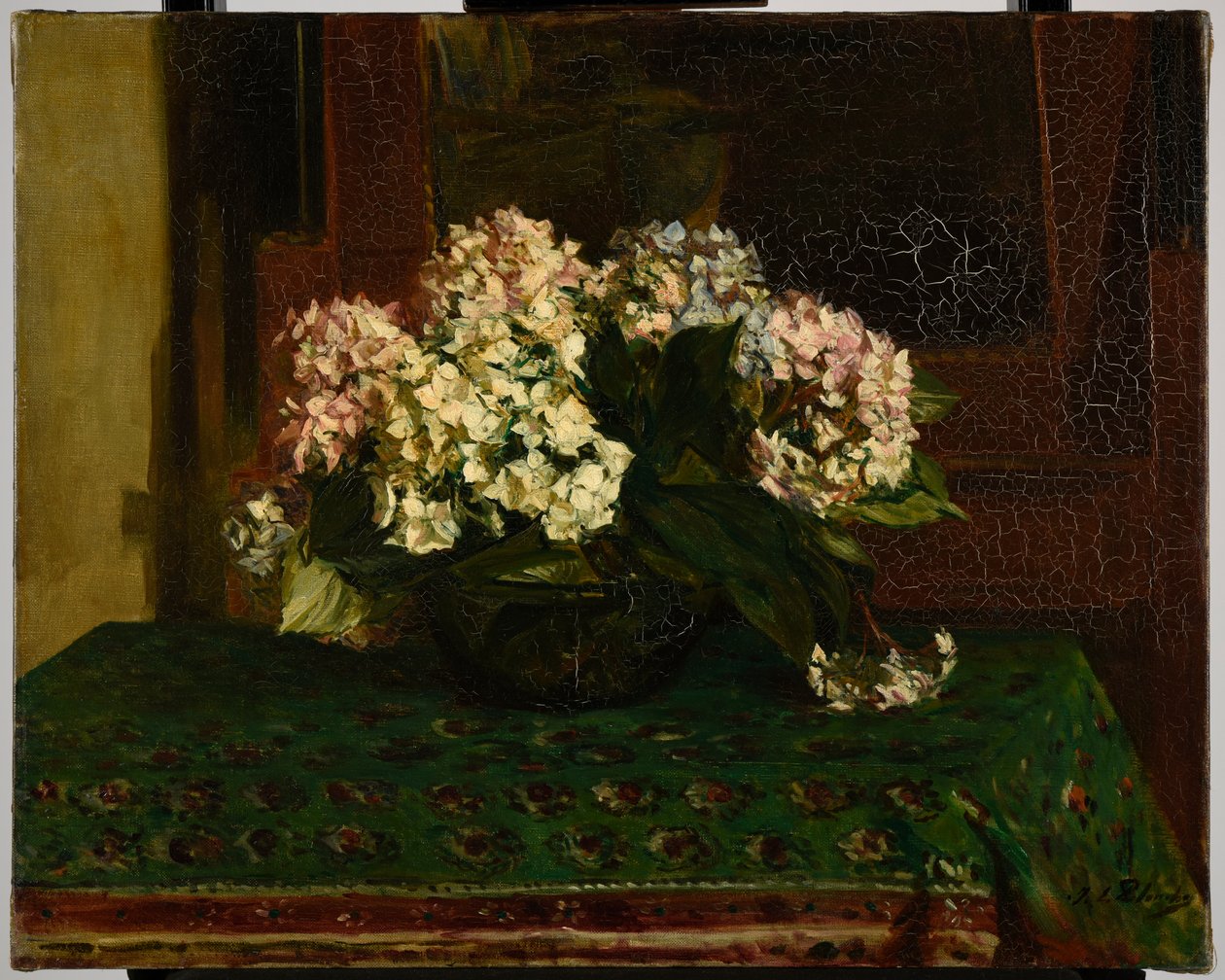Hortenzie (horké počasí) od Jacques Emile Blanche