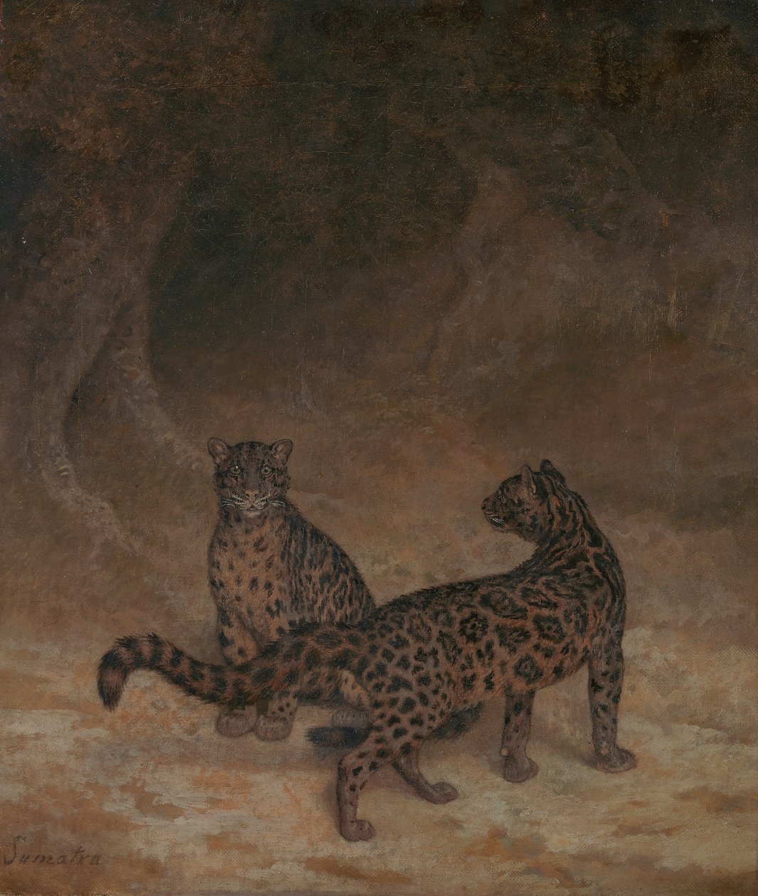 Obláčkoví leopardi od Jacques Laurent Agasse
