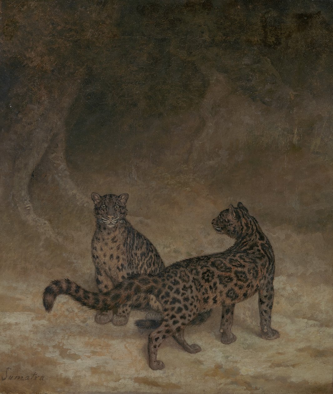 Leopardi oblační, kolem roku 1825 od Jacques Laurent Agasse