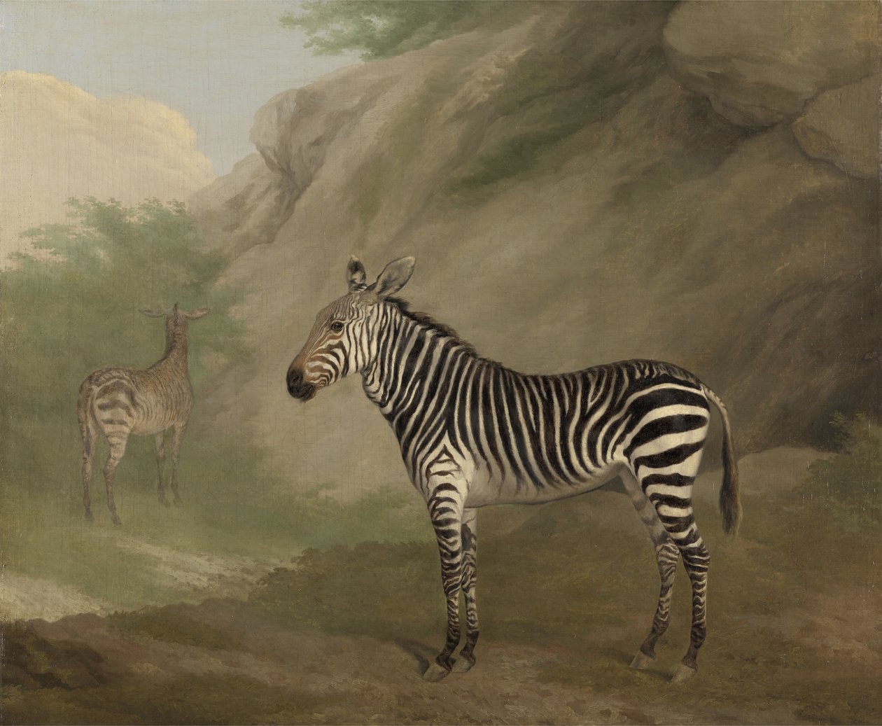 Zebra od Jacques Laurent Agasse