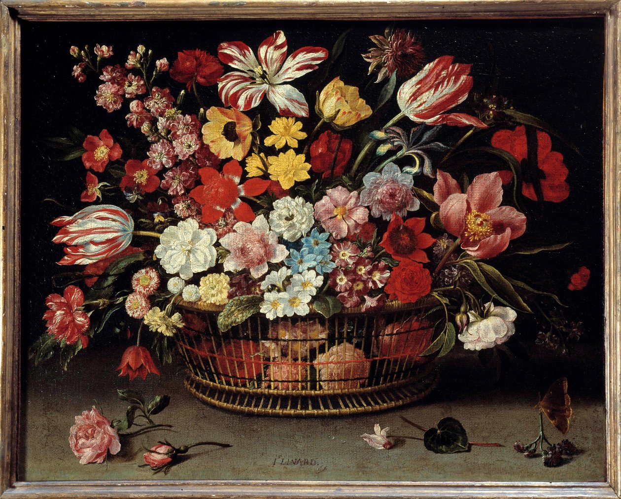 Ovocný koš Obraz od Jacquese Linarda (1600-1645) od Jacques Linard