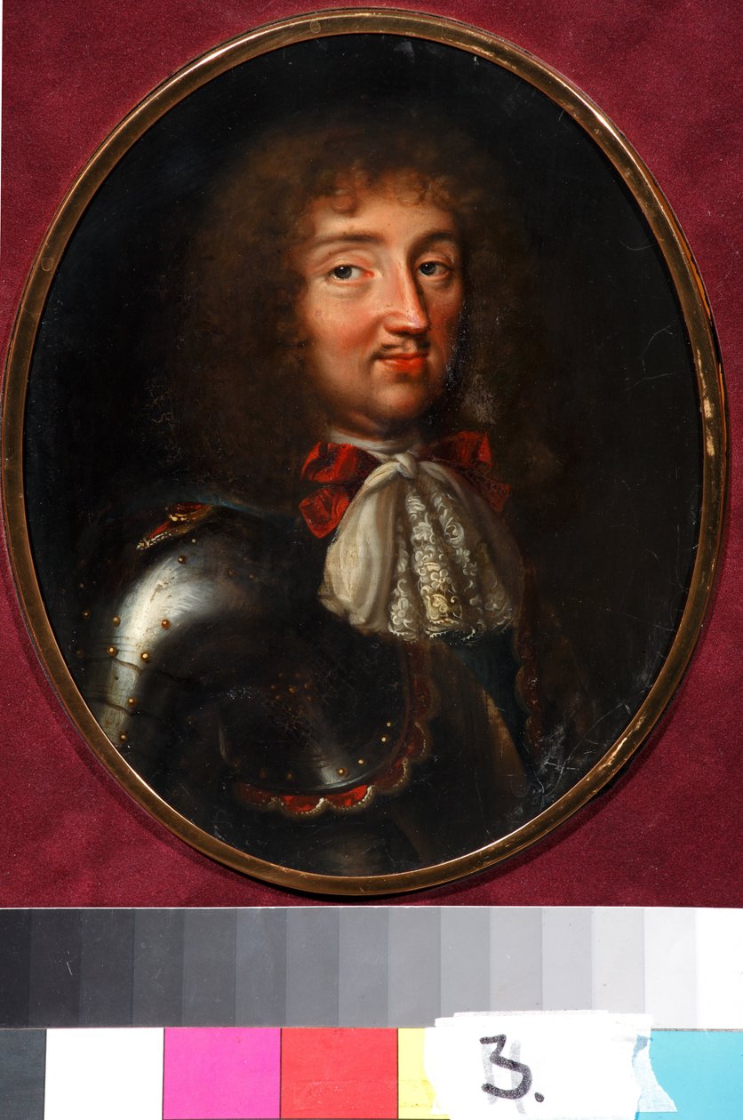 Ludvík XIV., francouzský král (1638-1715) od Jacques Samuel Bernard