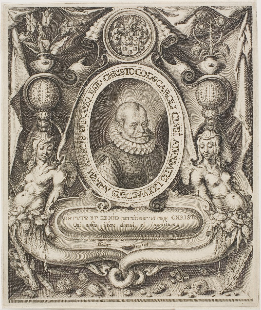 Carolus Clusius od Jacques de Gheyn II