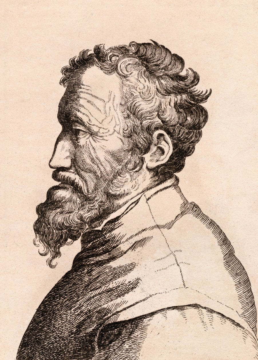 Michelangelo di Lodovico Buonarroti Simoni, ilustrace z 
