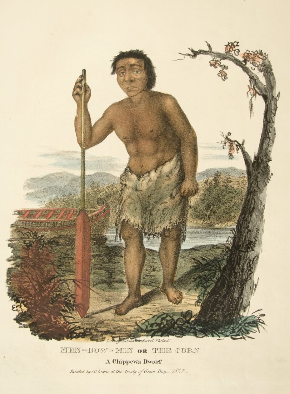 Men-dow-min nebo The Corn od James Otto Lewis
