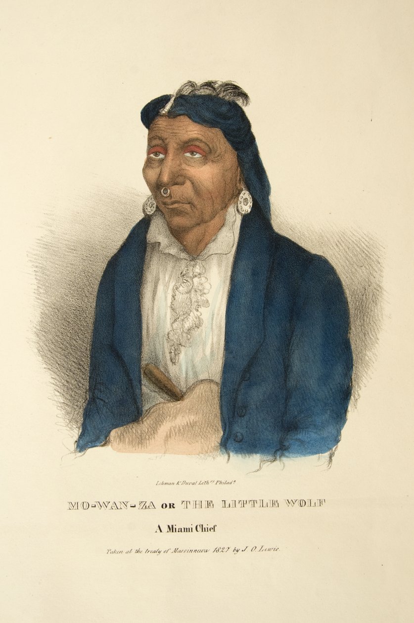 Mo-wan-za nebo Malý vlk od James Otto Lewis