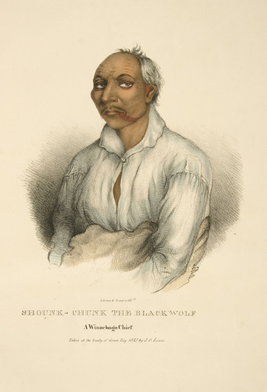 Shounk-chunk The Blackwolf od James Otto Lewis