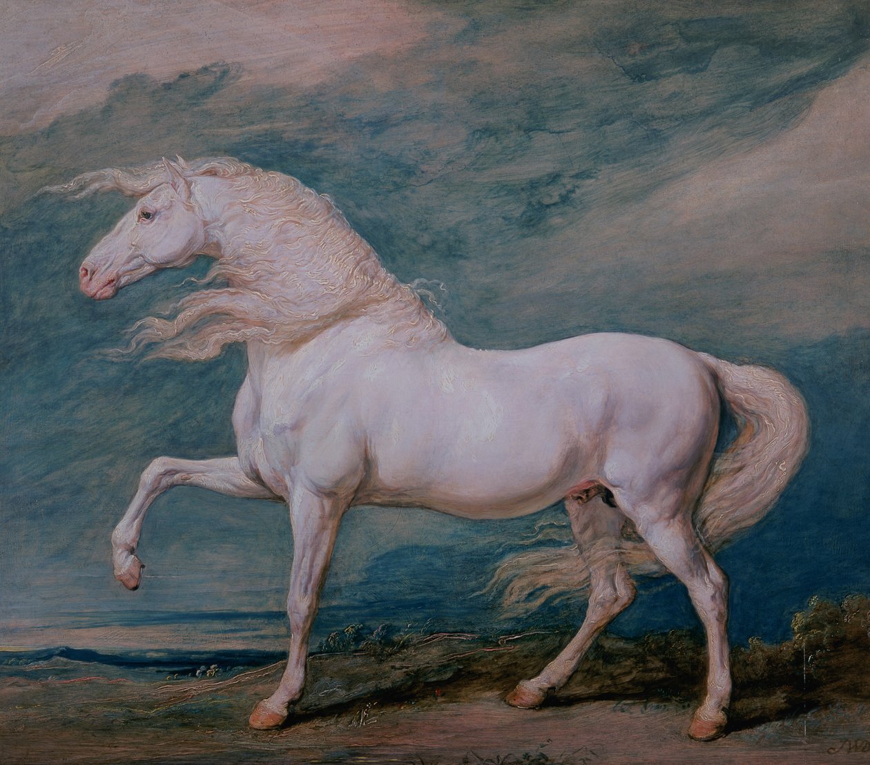 Adonis, bílý hřebec od James Ward
