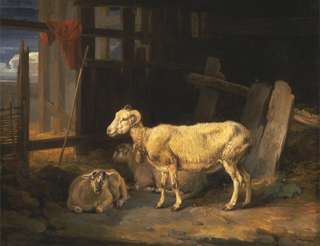 Heath Ewe a jehňata od James Ward