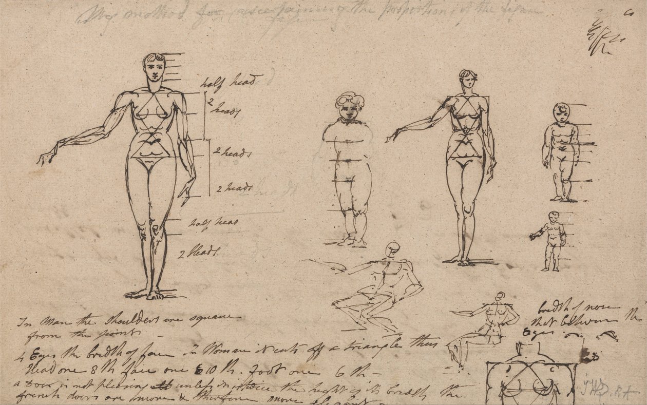 Studium anatomie, měření a psaní od James Ward