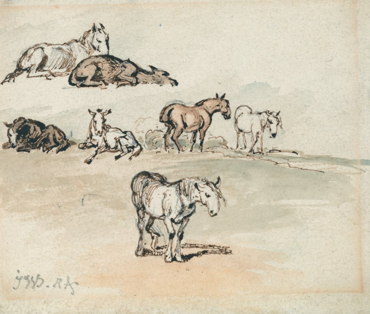 Studie koní od James Ward