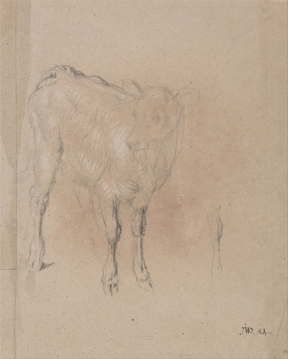 Studie tele od James Ward