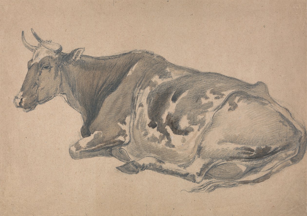 Studie krávy od James Ward