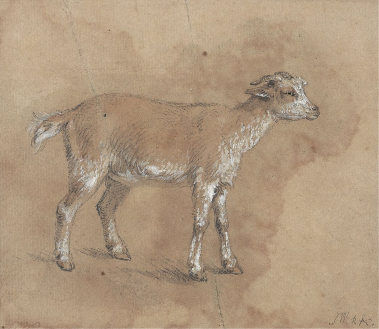 Studie dítěte od James Ward