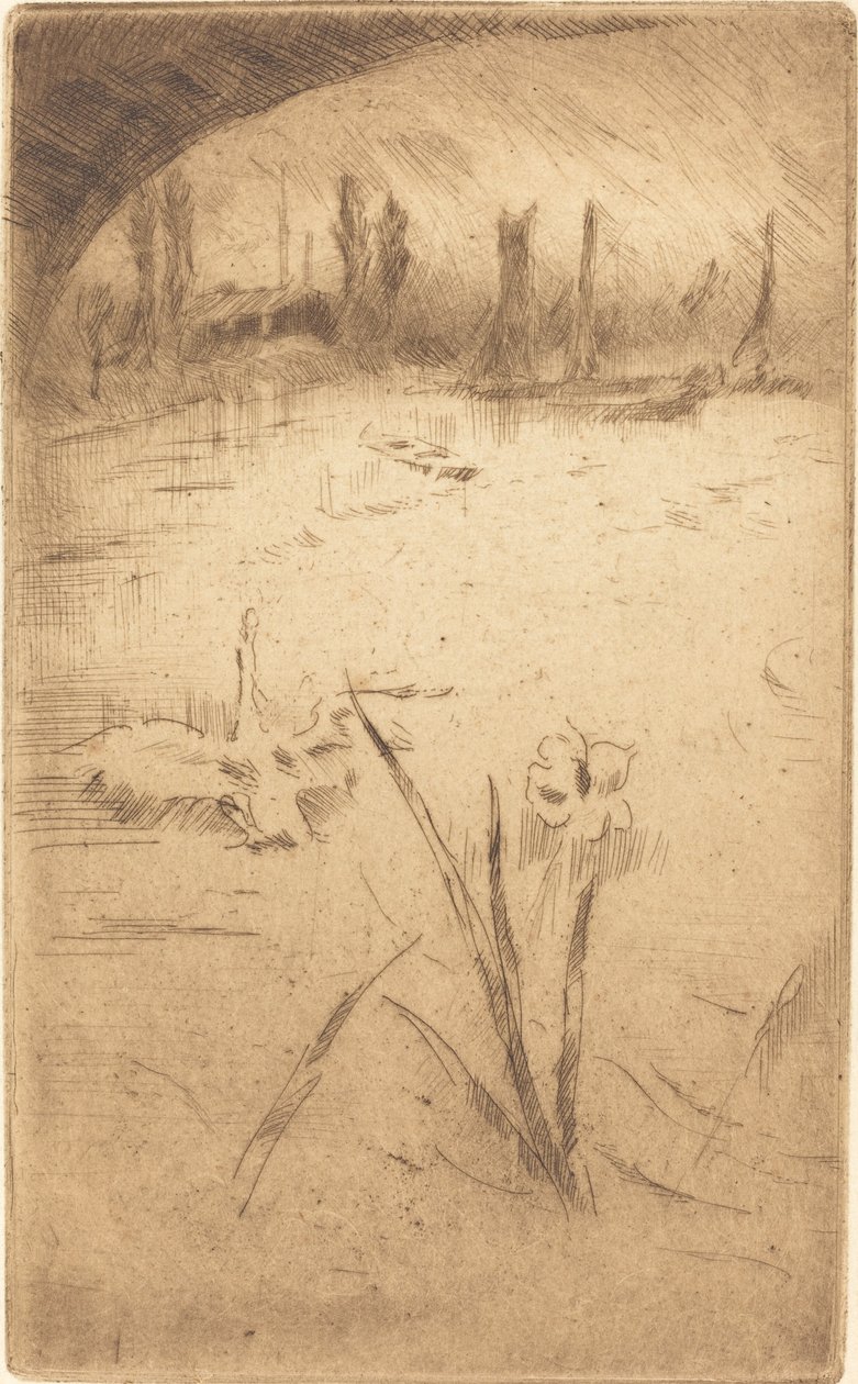 Swan and Iris, publikoval 1883. od James Abbott McNeill Whistler