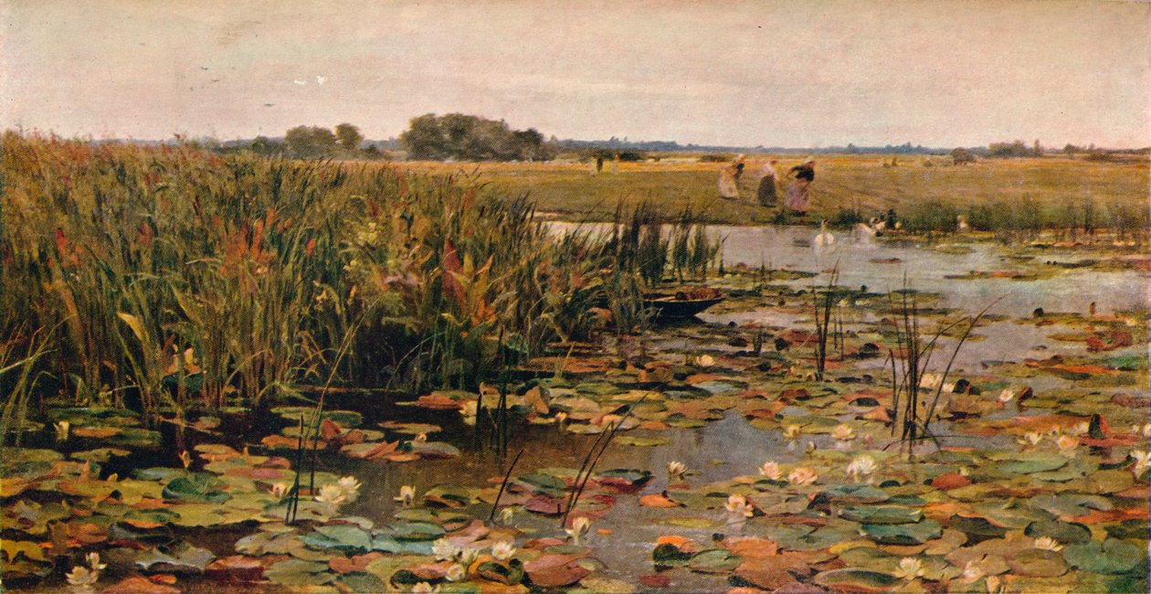 Lekníny, c1870 od James Aumonier