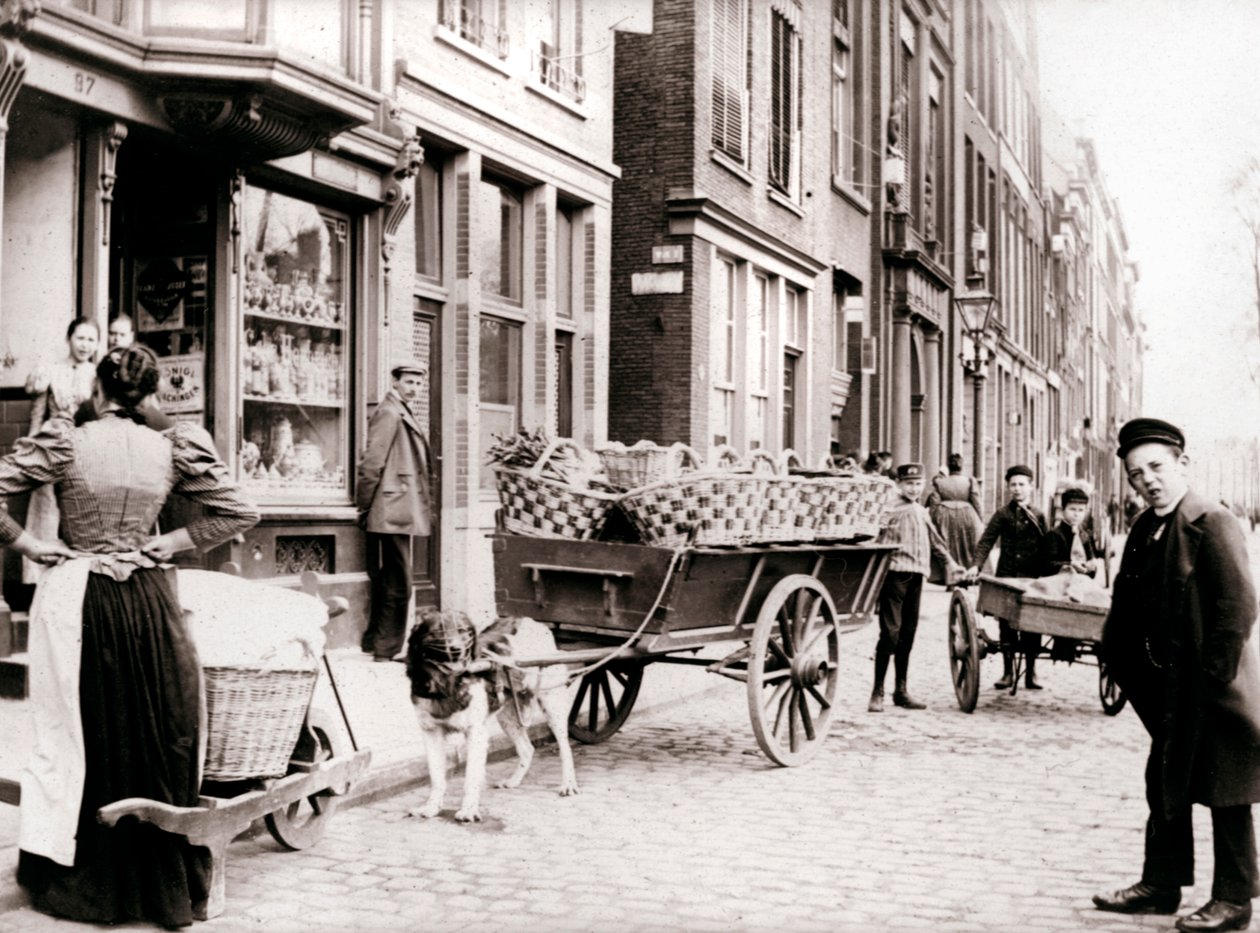 Dogcart, Antverpy, 1898. od James Batkin