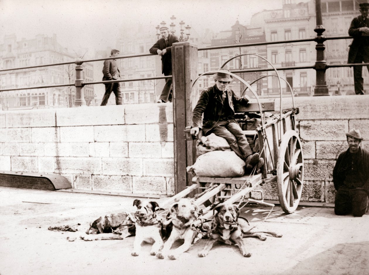 Muž s psím vozíkem, Antverpy, 1898. od James Batkin