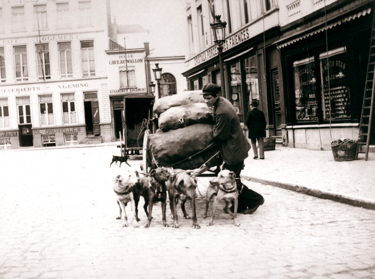 Muž s psím vozíkem, Antverpy, 1898 od James Batkin