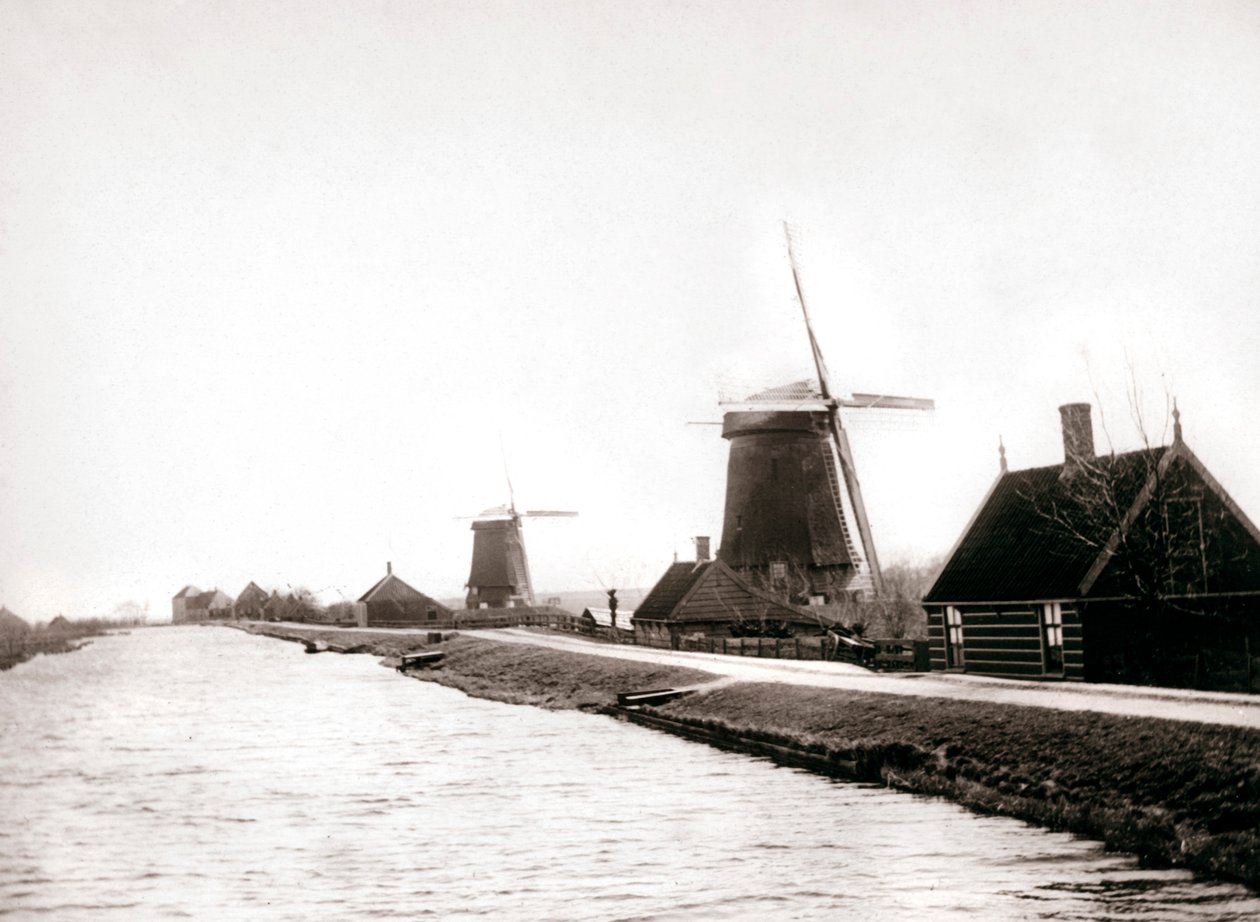 Větrné mlýny, Laandam, Nizozemsko, 1898. od James Batkin