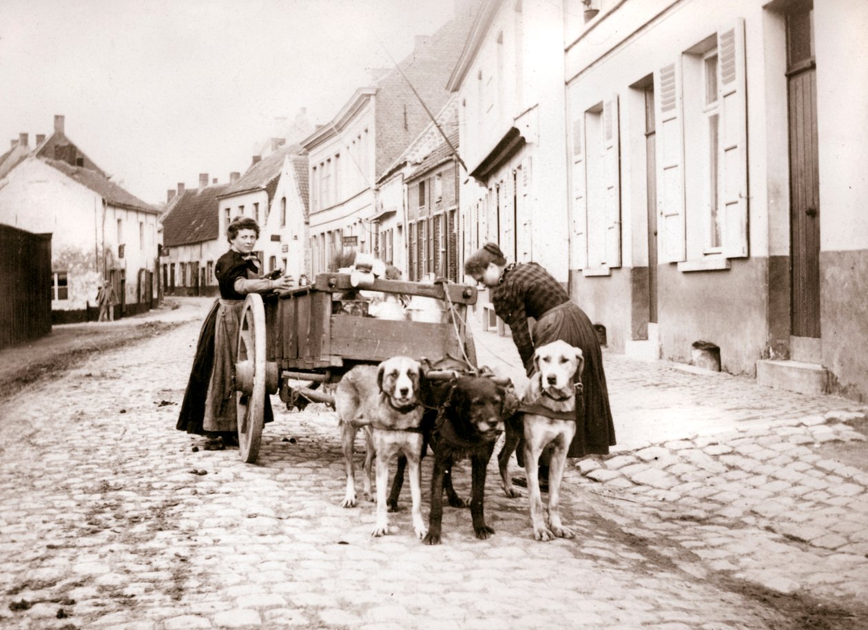Ženy a psí vozík, Antverpy, 1898 od James Batkin