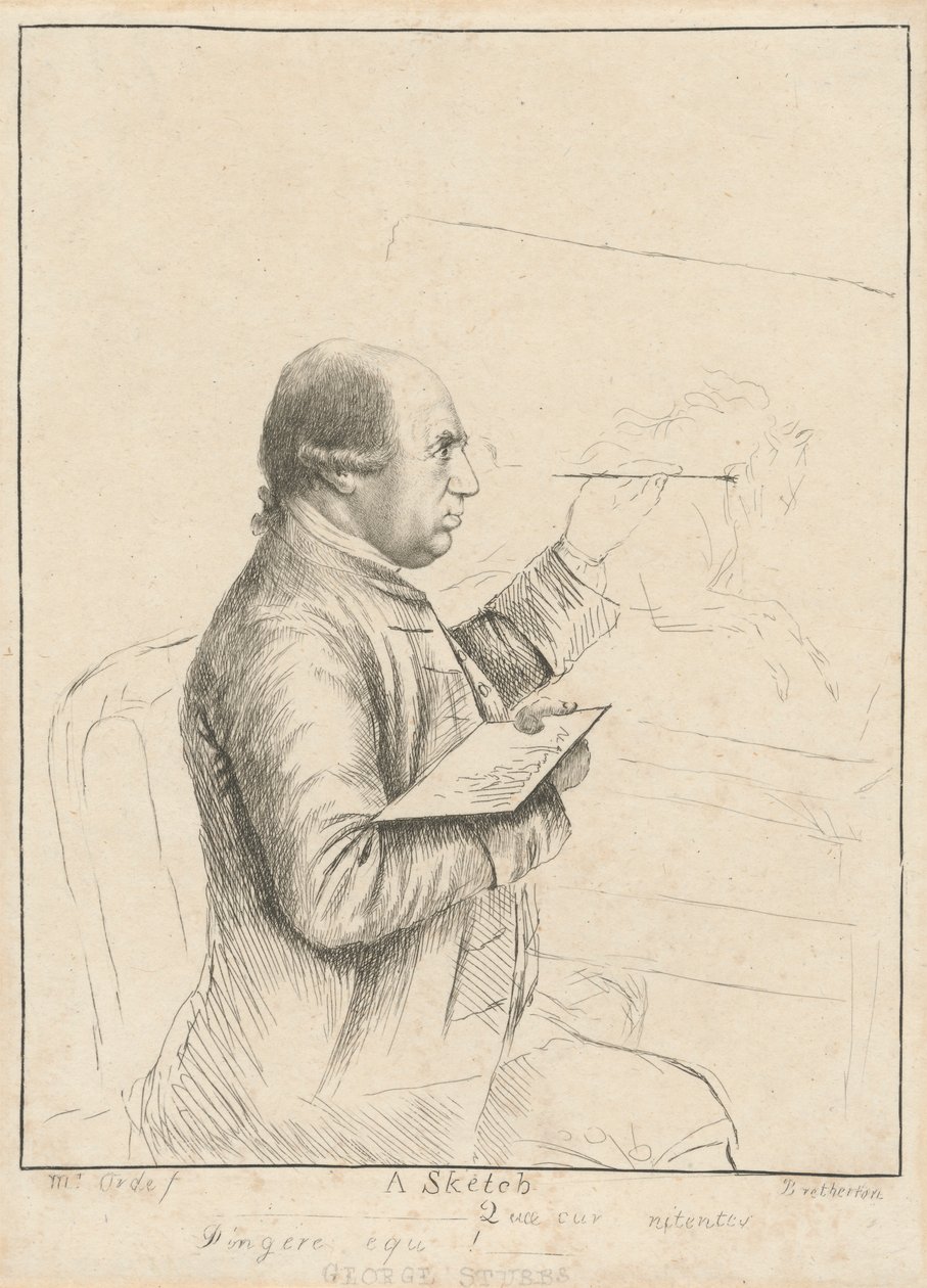 George Stubbs: Skica od James Bretherton