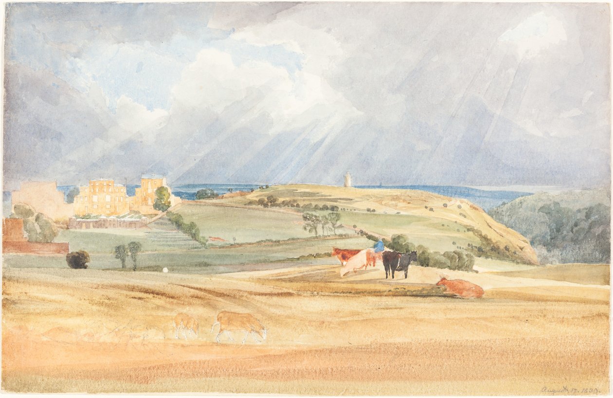 Krajina s dobytkem (Somerset?) od James Bulwer