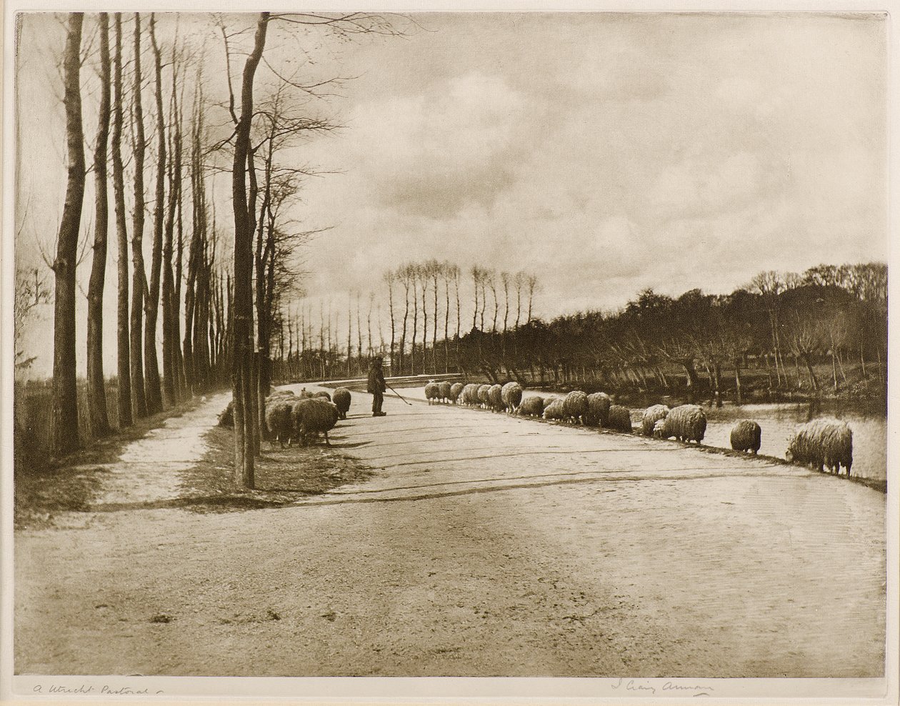 In Utrecht Pastoral (hlubotisk) od James Craig Annan